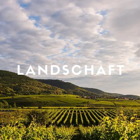 Lejlighed Familienglueck Im Waldglueck Pfalz *