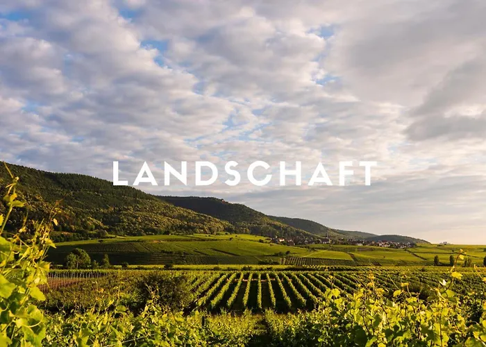 Апартаменты Familienglueck Im Waldglueck Pfalz *